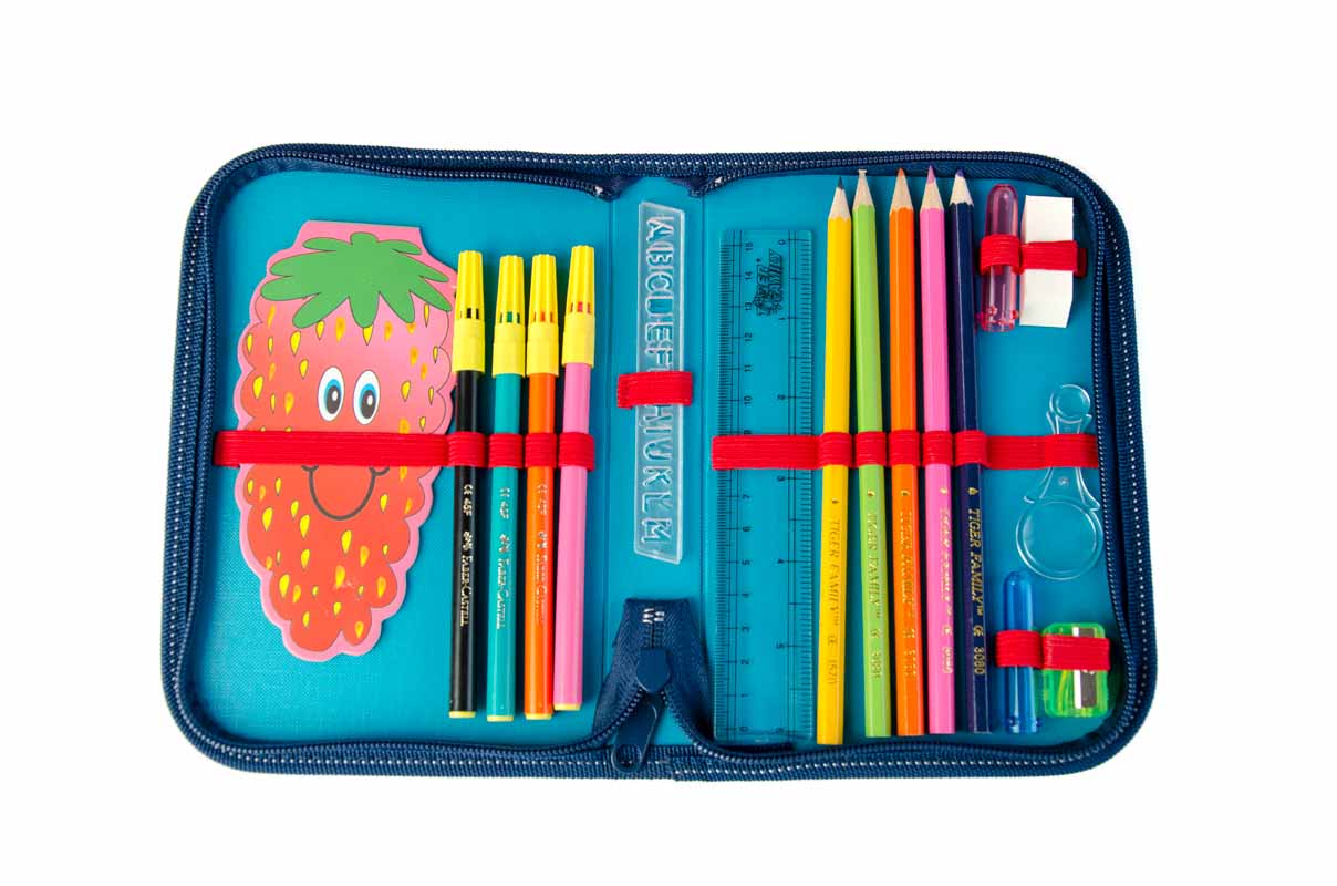 Schultasche ST24 Delfin